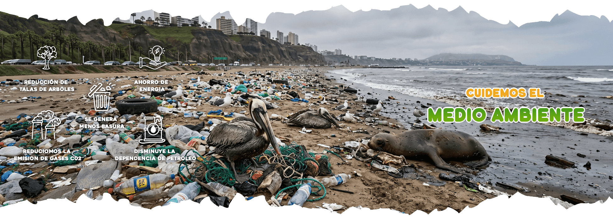 Cuidemos el medio ambiente