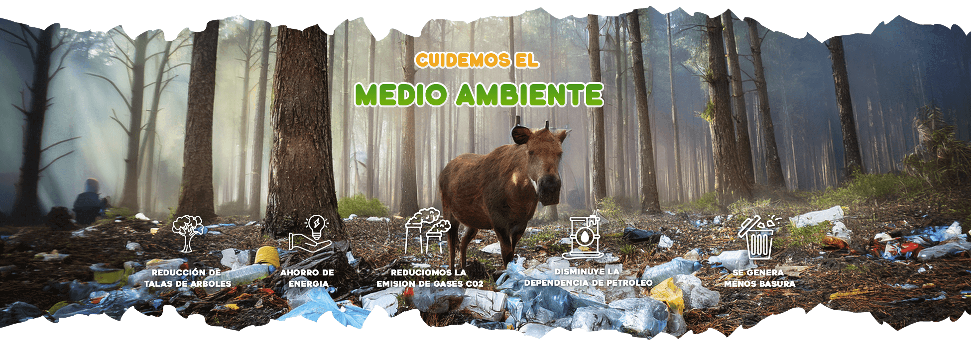 Cuidemos el medio ambiente