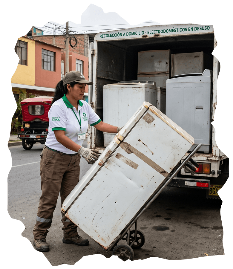 Reciclaje Seguro