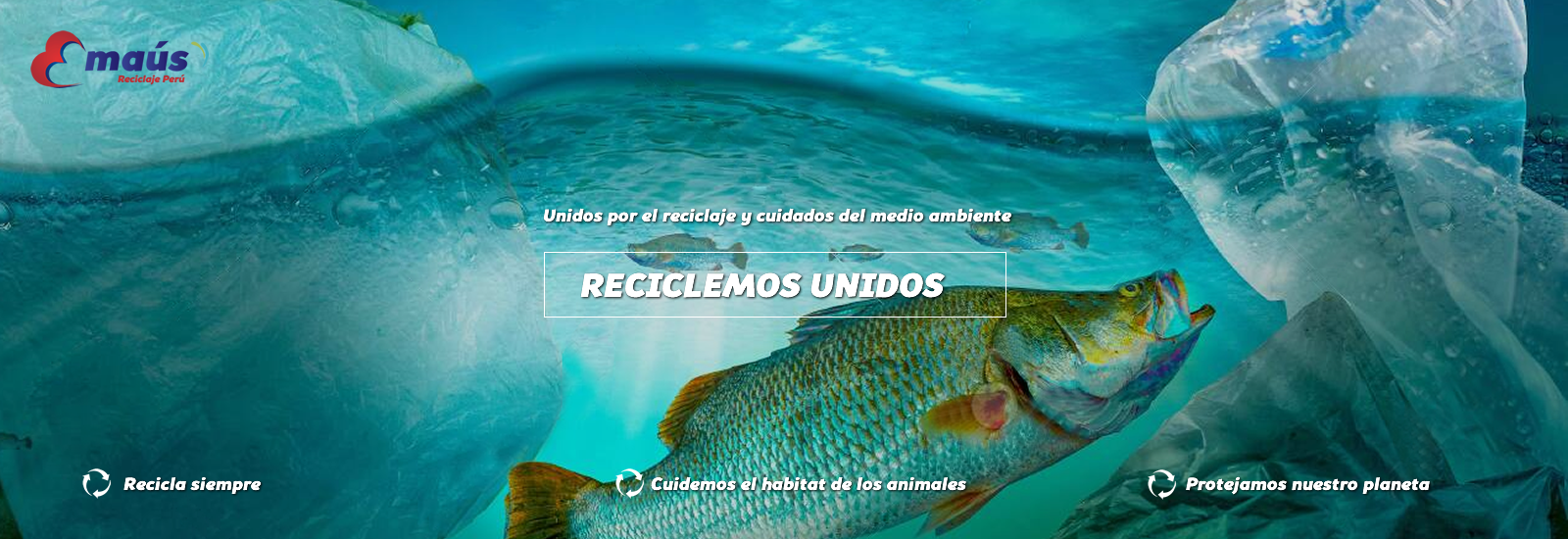 Reciclaje Emaus